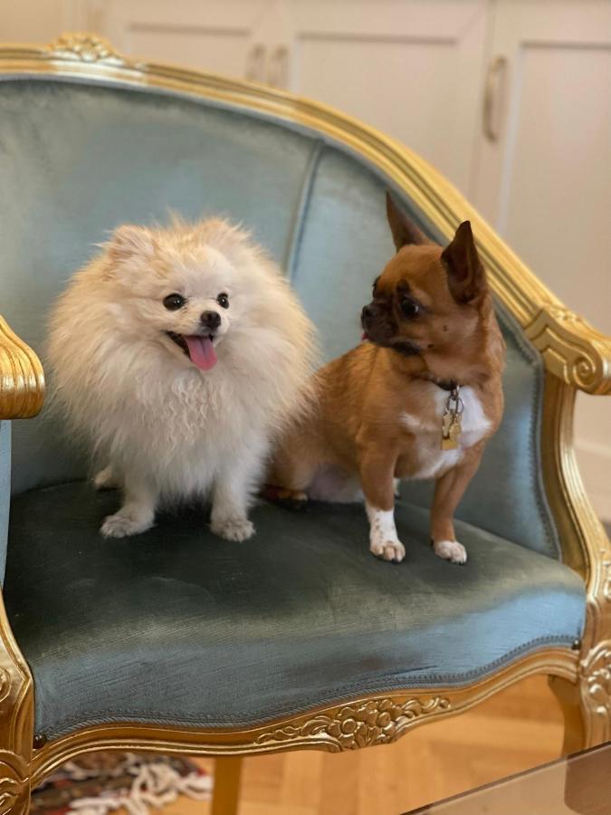 Palazzo Monga Boutique Guesthouse ヴェローナ エクステリア 写真